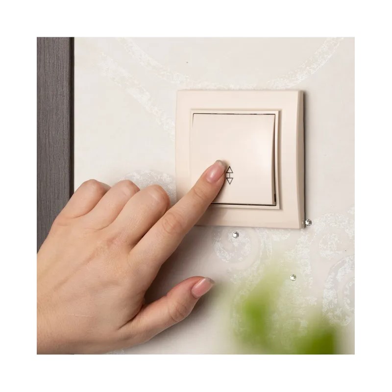 Переключатель с/у Минск ERV10-025-20, 1 клавиша, б/инд, бежевый