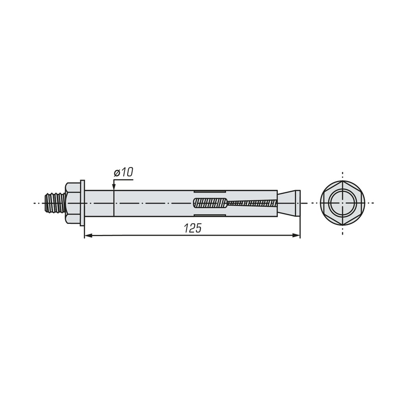 Болт анкерный с гайкой SWFS 10х125 (40 шт)