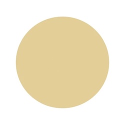 Шпаклёвка по дереву Текс Биотекс дуб (0,75 кг)