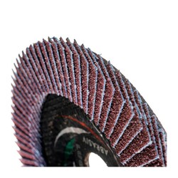 Диск лепестковый по металлу Луга Р40 150х22 мм