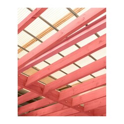 Пропитка БиоТекс ОГНЕБИОЗАЩИТА с розовым индикатором (10 л)